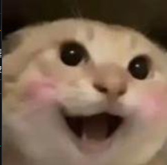 Web33Jey's tweet photo. @elonmusk @whyyoutouzhele 可以说一下哈基米吗  他代表着猫

你孩子肯定喜欢 https://t.co/9D56cXJfTj