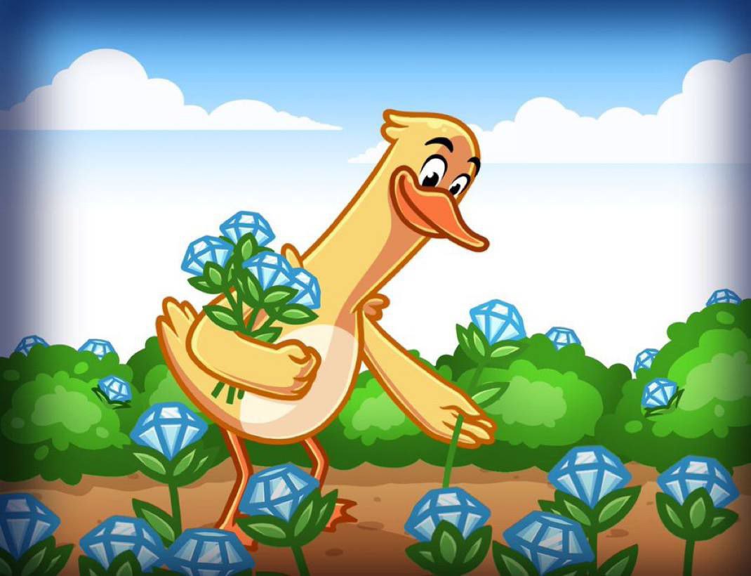 Tony McDuck tweet media