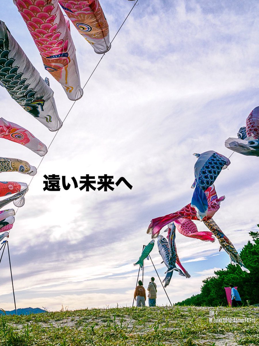 鯉のぼり