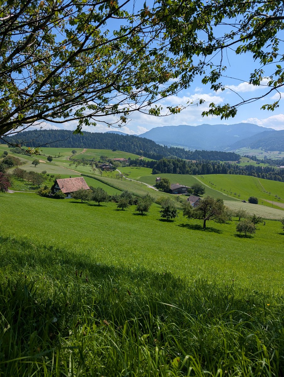 HikingSchweiz's tweet photo. The rolling hills of Canton Zug in Central Switzerland 🇨🇭 https://t.co/mCIKY8paUw