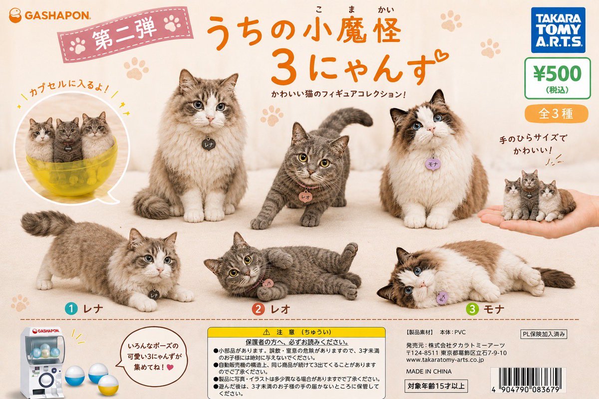 ヒミカル tweet media