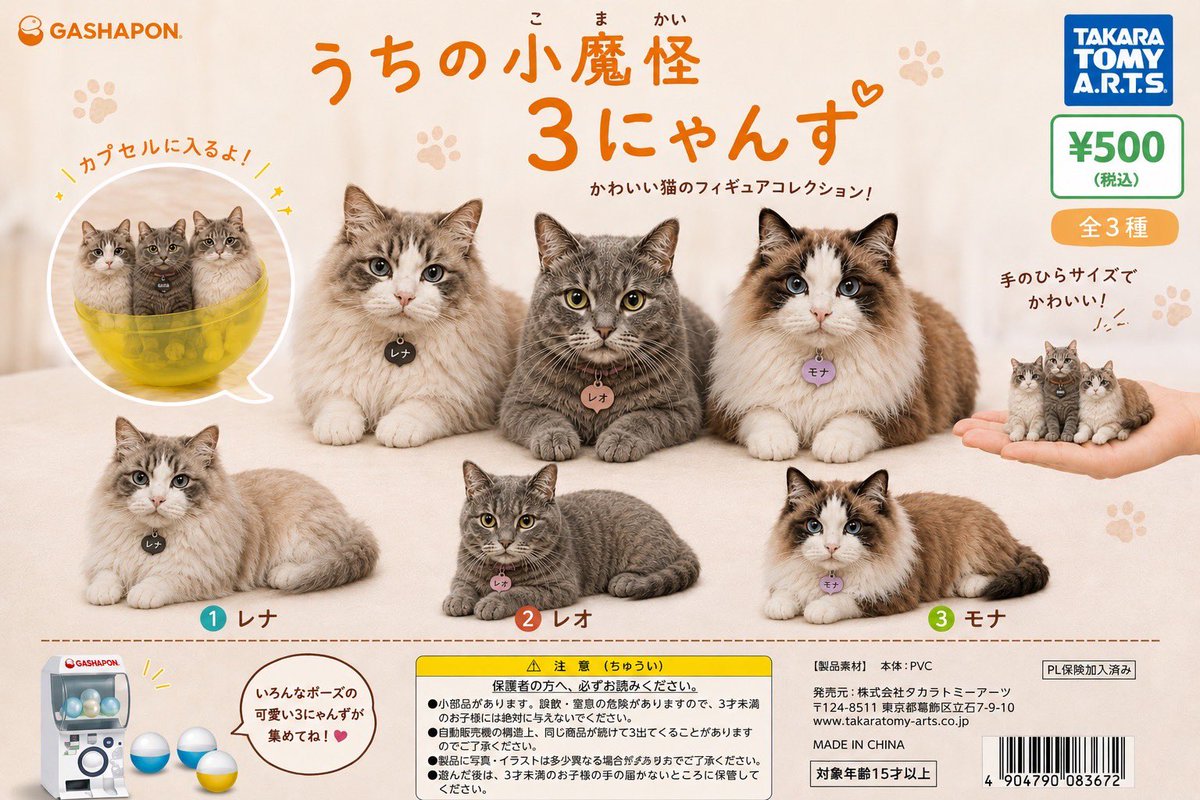ヒミカル tweet media