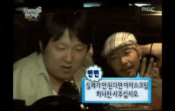 좀벌 tweet media