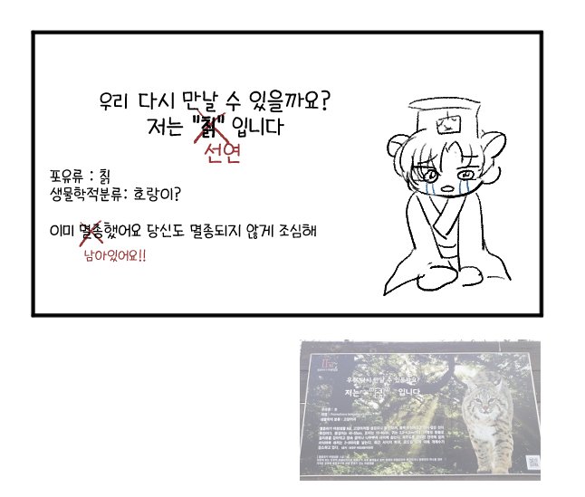 좀벌 tweet media