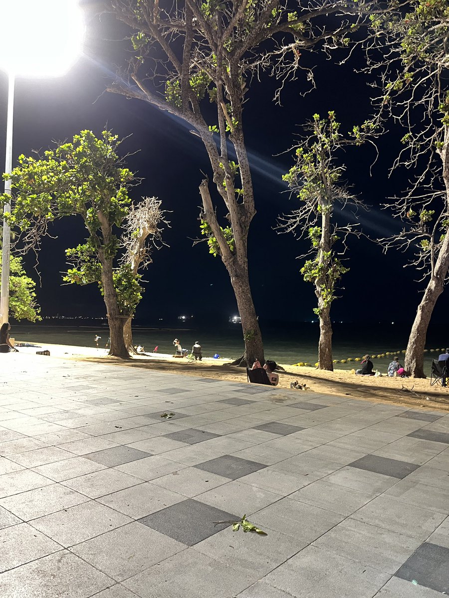 Nong Pingpong tweet media