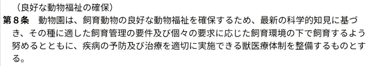 mayumi.kr tweet media