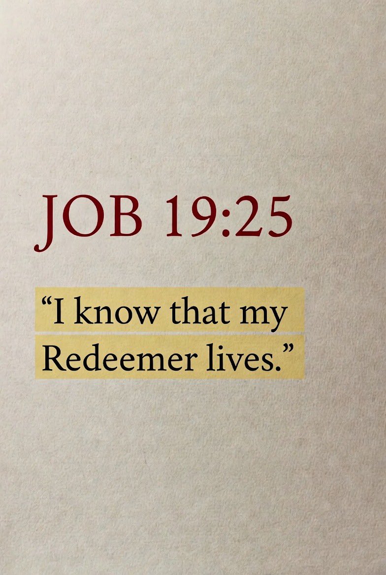 Holy Bible tweet media