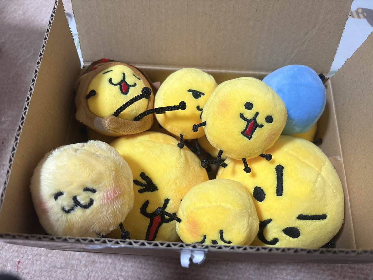 確認ページ♡わんこ＆にゃんこ 🟡🟡🟡🟡🟡🟡🟡🟡🟡🔵