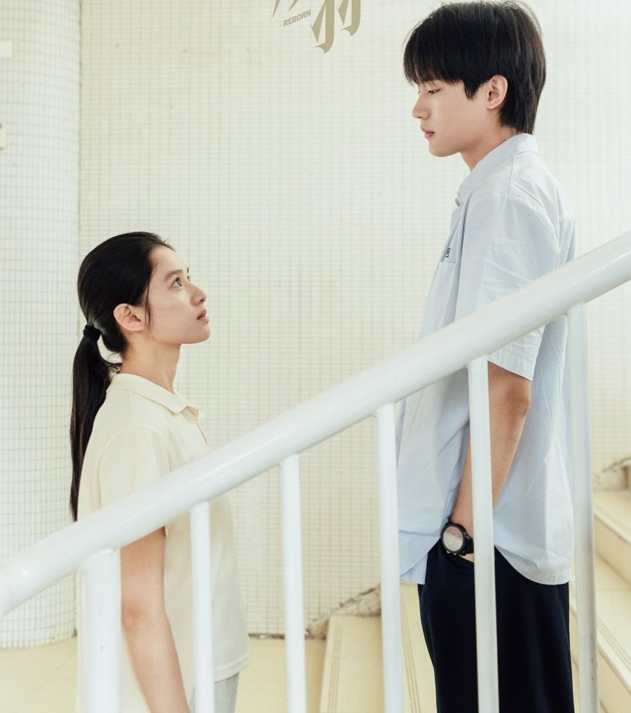 Zhang jing yi 张婧仪 tweet media