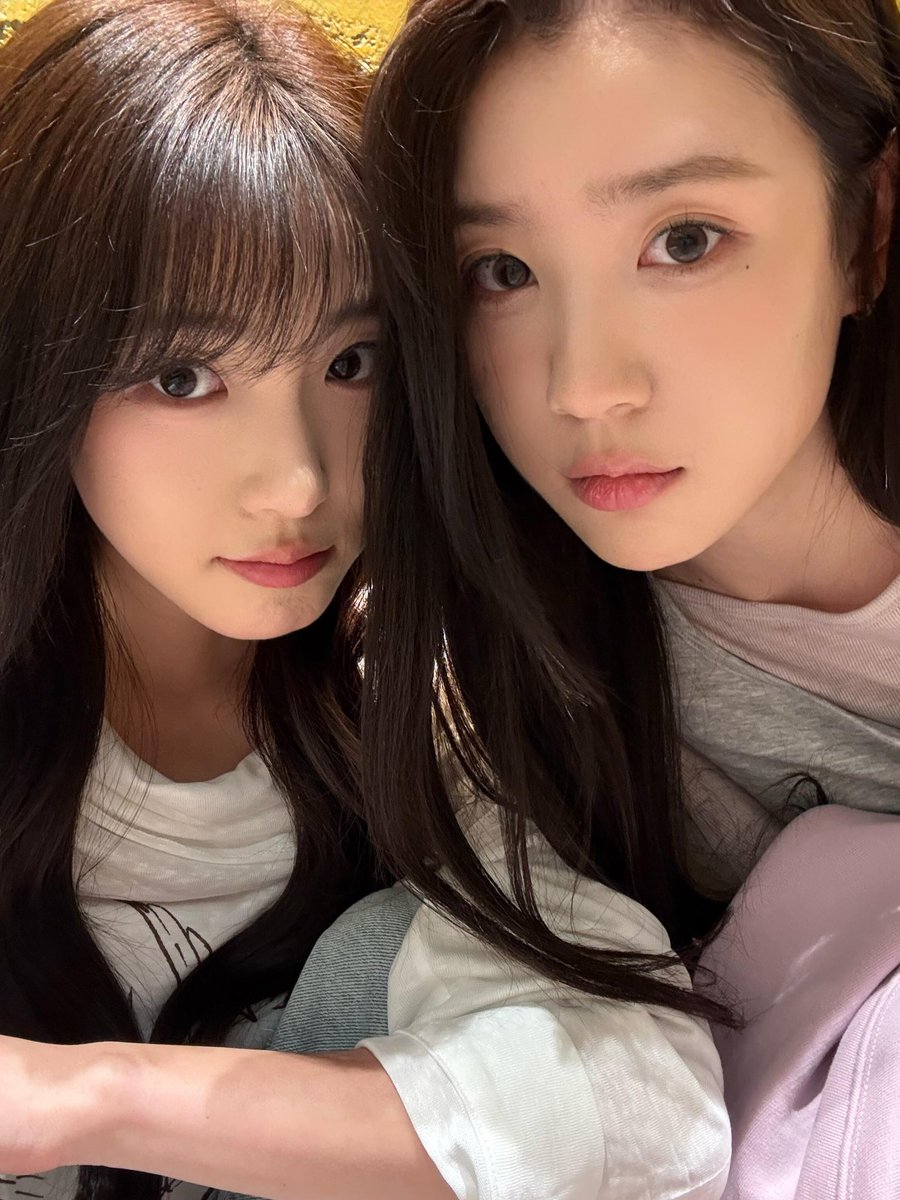 봄 tweet media
