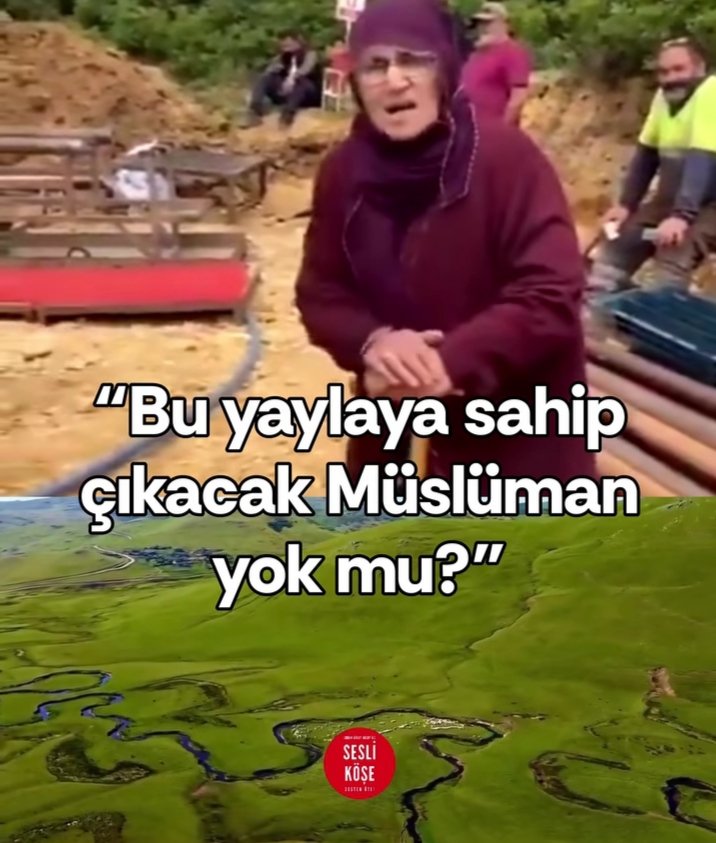 serefyalcin18's tweet photo. @by__fth Hayvana ,doğâya insana düşmansınız https://t.co/7l5BMHcKZE