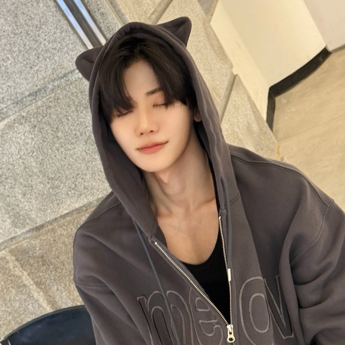 ⃟⃟⃟ tweet media