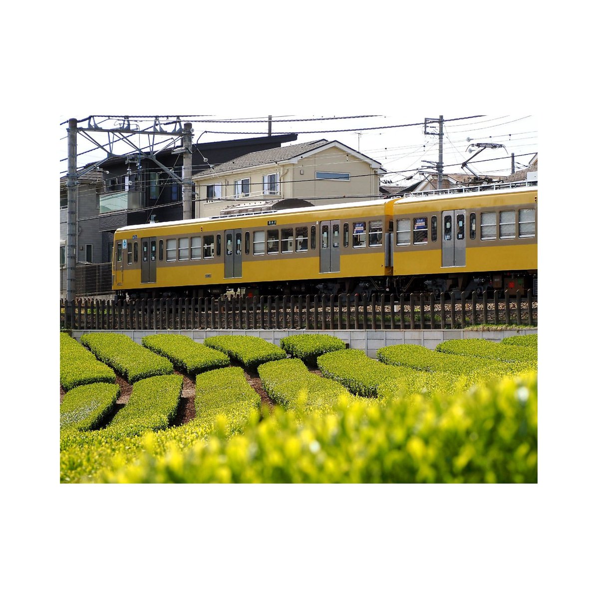 クハ１０３ー５６０ tweet media