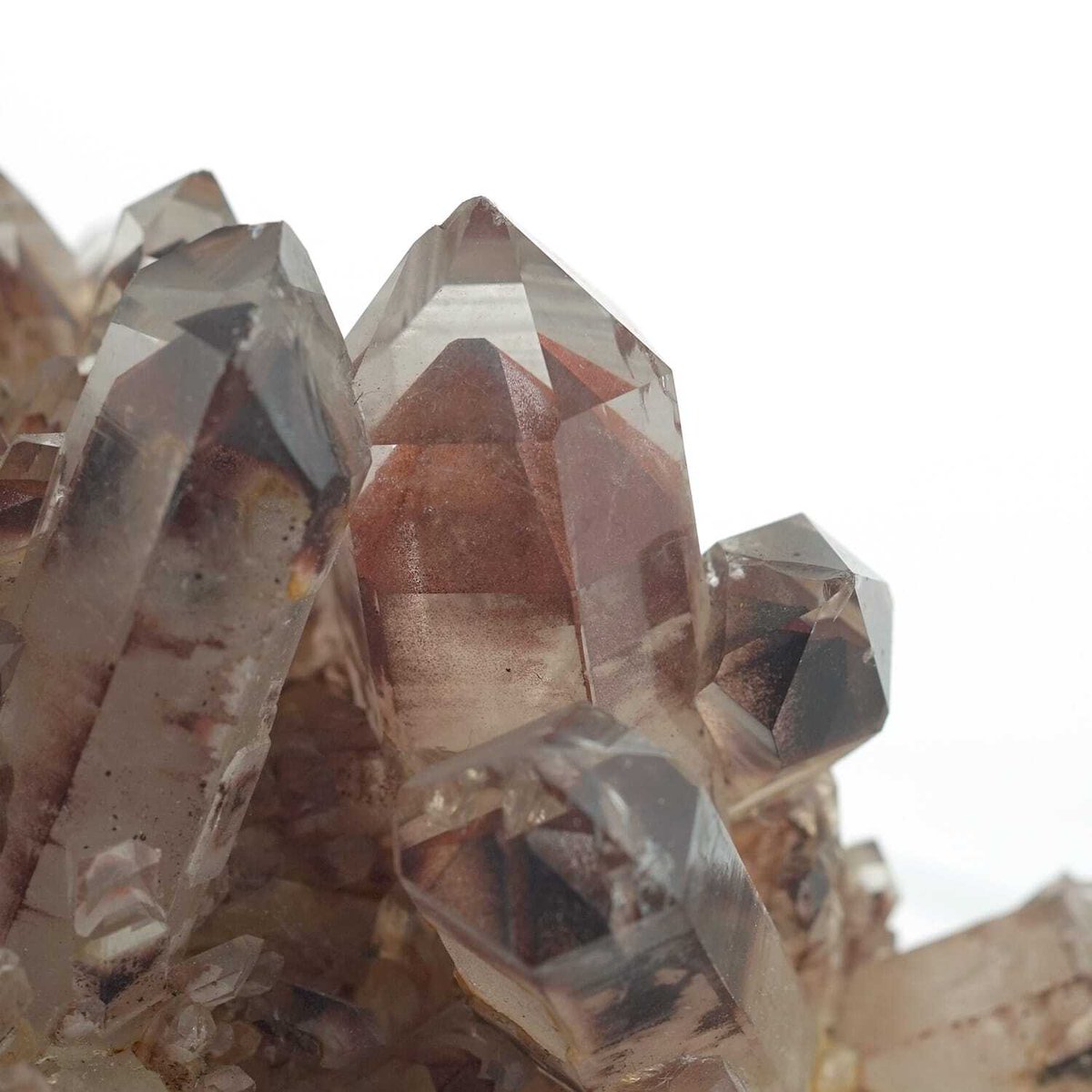 FORESTBLUEstone's tweet photo. まるで赤富士のような神秘的な結晶🗻✨
ヒマラヤ山脈産
レッドファントムクォーツ クラスターです💎

水晶が成長する過程で、
赤いヘマタイトを取り込みながら層を形成した珍しい水晶。
山型に成長した結晶は特に縁起が良いとされ、
「赤富士」と呼ばれることもあります☺️

赤く浮かび上がるファントム模様は、
自然が長い年月をかけて作り出した奇跡の景色✨
ひとつひとつ異なる表情を楽しめます。

ヒマラヤ水晶は、
標高数千メートルの過酷な環境で、
人の手によって命懸けで採掘される特別な天然石。
重機を使うことができないため、
産出量も少なく、とても貴重です。

レッドファントムクォーツは
🔥 事業運
💪 健康運
🌈 チャンスをつかむ力
を象徴するといわれています。

空間浄化やお守りとしてはもちろん、
新しい挑戦を始めたい方にもおすすめの特別なクラスターです✨

#FORESTBLUE #フォレストブルー #パワーストーン #天然石 #レッドファントム #ヒマラヤ水晶 #クラスター #赤富士 #事業運 #浄化 #天然石インテリア #お守りストーン #パワーストーン好きな人と繋がりたい

⸻

🇺🇸 English SNS version

A mystical crystal that resembles a red Mt. Fuji 🗻✨
Red Phantom Quartz Cluster from the Himalayas 💎

This rare quartz formed as red hematite became trapped inside the crystal during growth,
creating beautiful layered phantom formations.

Mountain-shaped crystals are considered especially lucky,
which is why this stone is sometimes called
“Red Fuji” ☺️

The vivid red phantom patterns are like natural artwork,
created over countless years deep within the earth ✨

Himalayan crystals are mined by hand
at extreme altitudes of several thousand meters.
Heavy machinery cannot be used,
making these crystals exceptionally rare and valuable.

Red Phantom Quartz is believed to symbolize
🔥 business success
💪 vitality and health
🌈 the power to seize opportunities

A powerful crystal for purification, protection,
and supporting new beginnings and challenges ✨

#FORESTBLUE #PowerStone #NaturalStone #RedPhantomQuartz #HimalayanCrystal #CrystalCluster #RedFuji #BusinessSuccess #HealingCrystal #CrystalDecor #JapaneseQuality #StoneLovers
