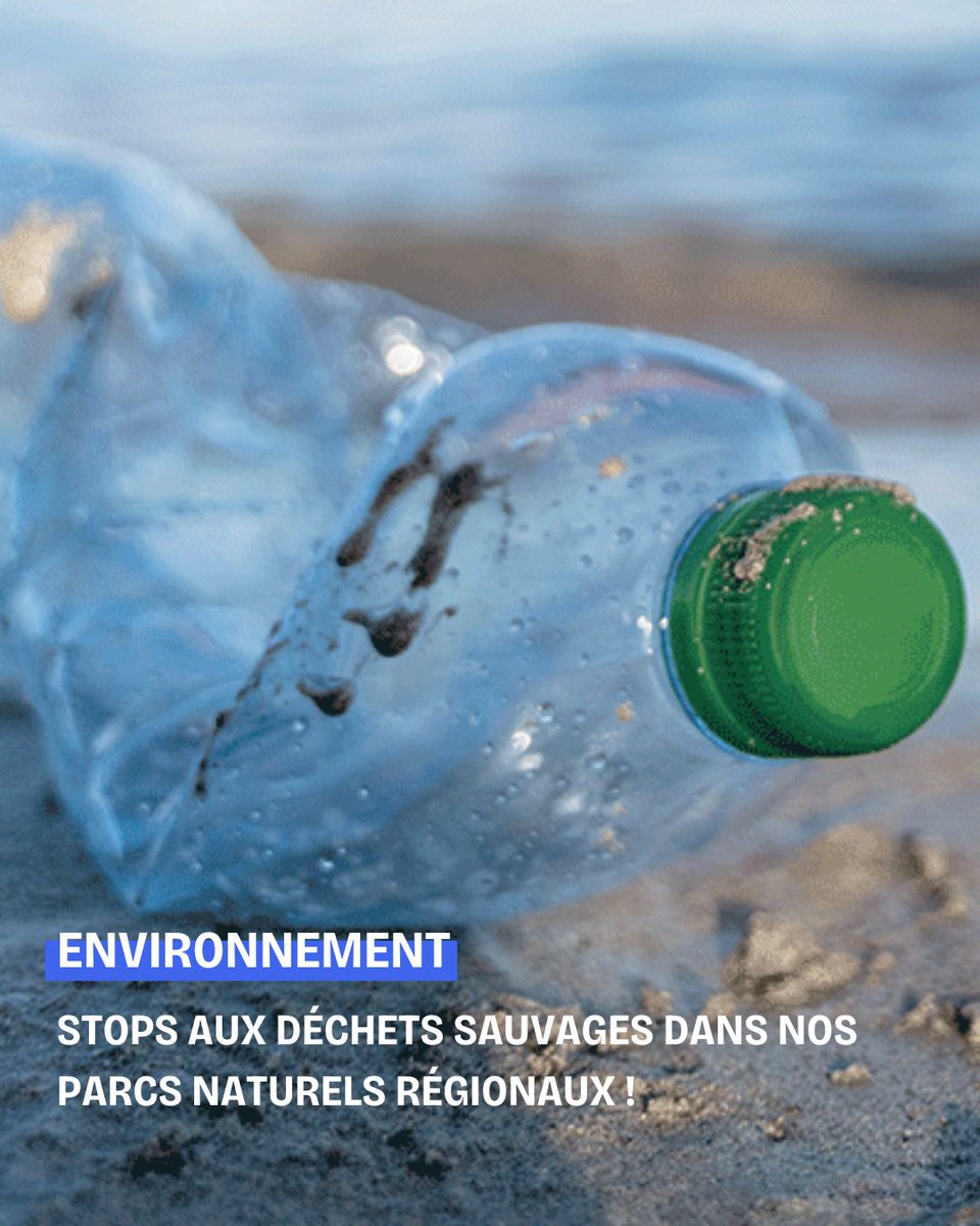 Région Sud tweet media