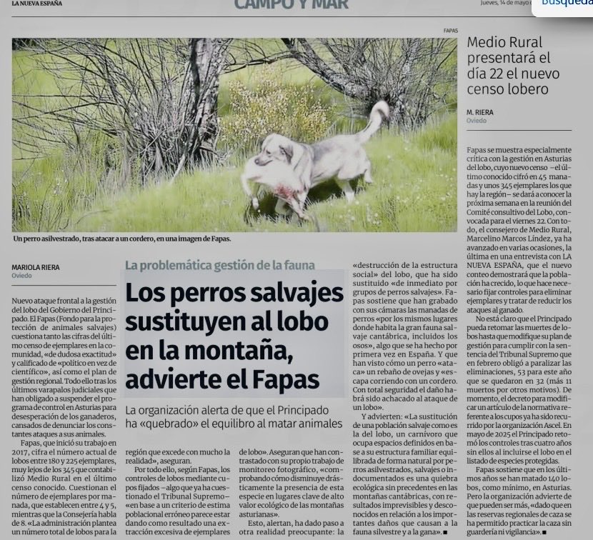 Rosa M. Tristán tweet media