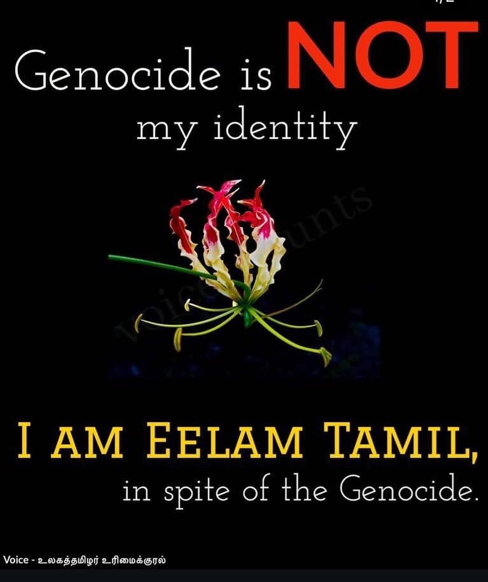 Voice Of Global Tamil Rights tweet media