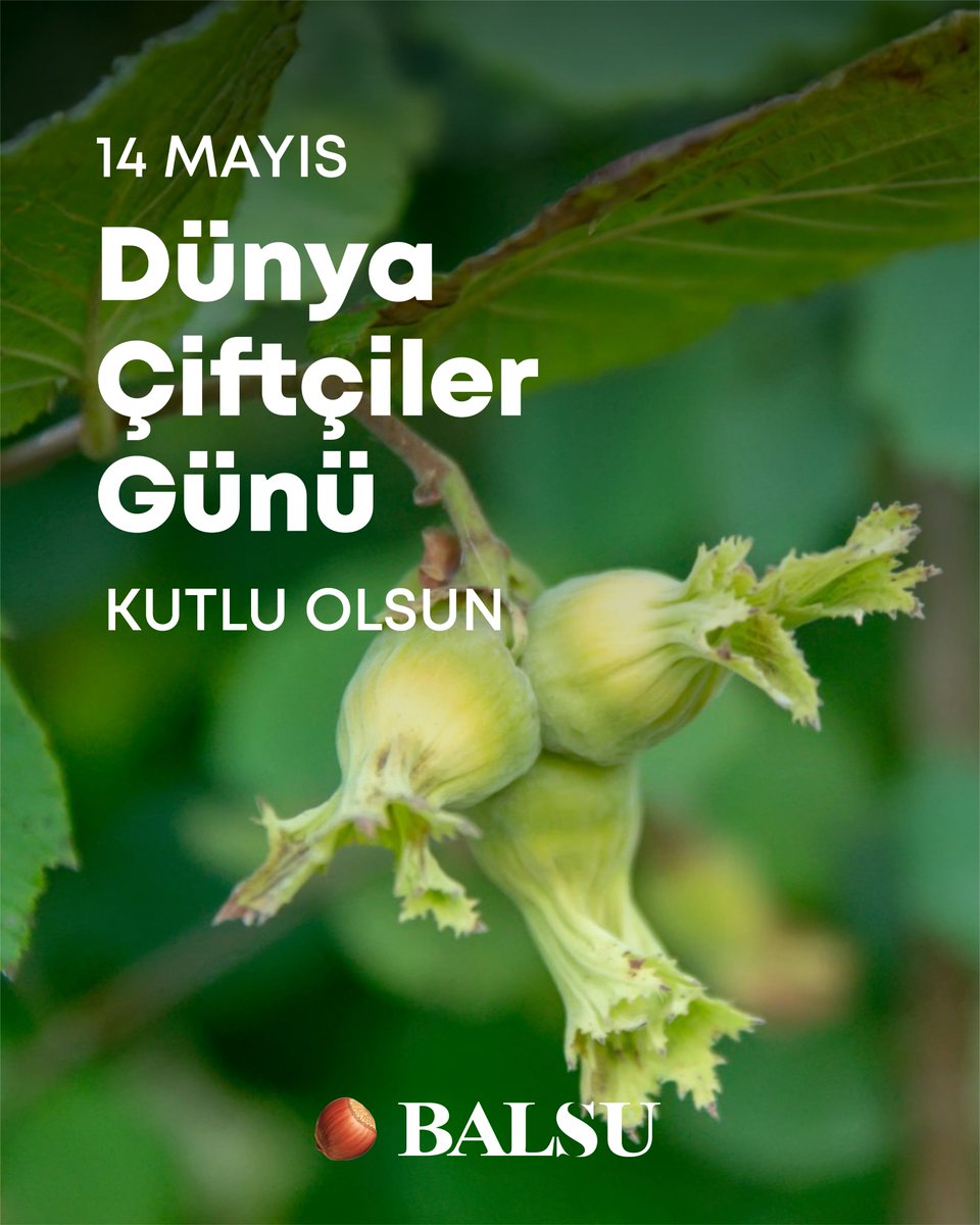 BalsuGida's tweet photo. Balsu &amp; Genç Hayat Vakfı iş birliğiyle, 14 Mayıs Dünya Çiftçiler Günü kapsamında 'Fındığı Tanı, Bahçeyi Keşfet' etkinliği gerçekleştirdik. https://t.co/PMU1seQSUy