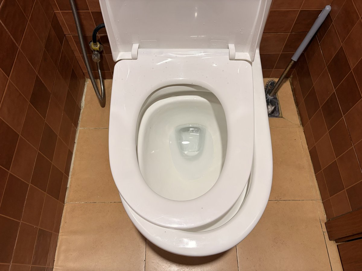 nonono_quesera3's tweet photo. 割と人より海��のトイレ環境に対して許容範囲広い私ですが、このパターンは好きじゃありません。便座が���さ過ぎて便器に太もも触れそうなやつ！
足で工夫して触れないようにするよ🥺

便座くん。なんで君はもう少し前に出れなかったんだい？ https://t.co/FN3irc7WB2