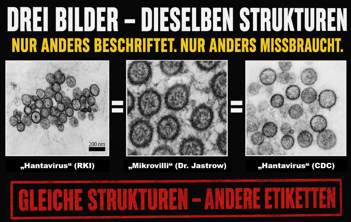 NEXT LEVEL – Wissen neu gedacht tweet media