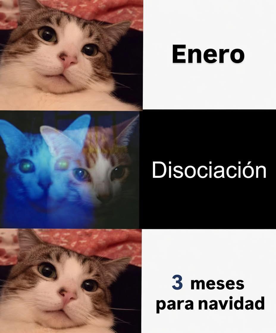 Más Ciencia tweet media