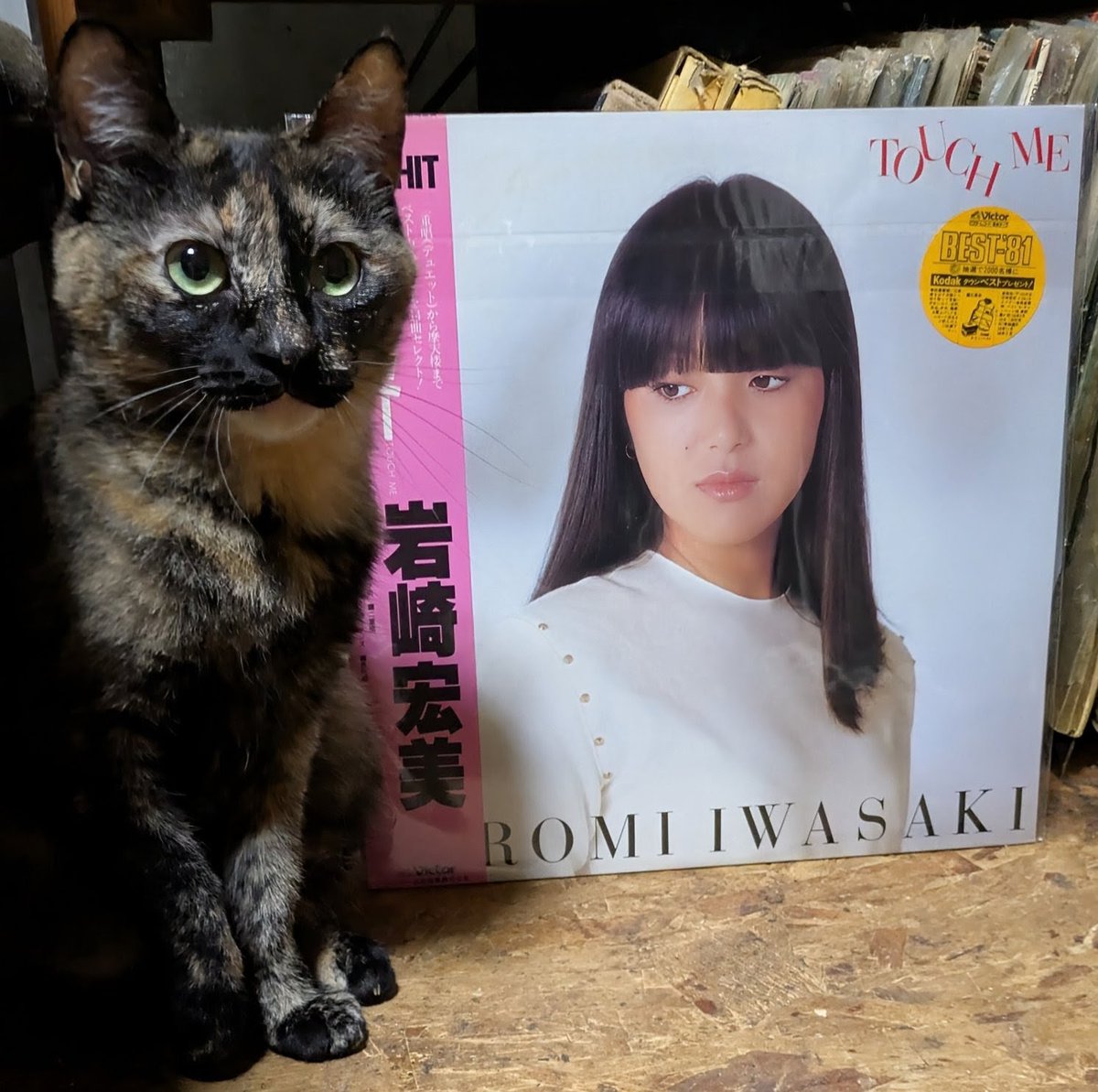 popncat tweet media