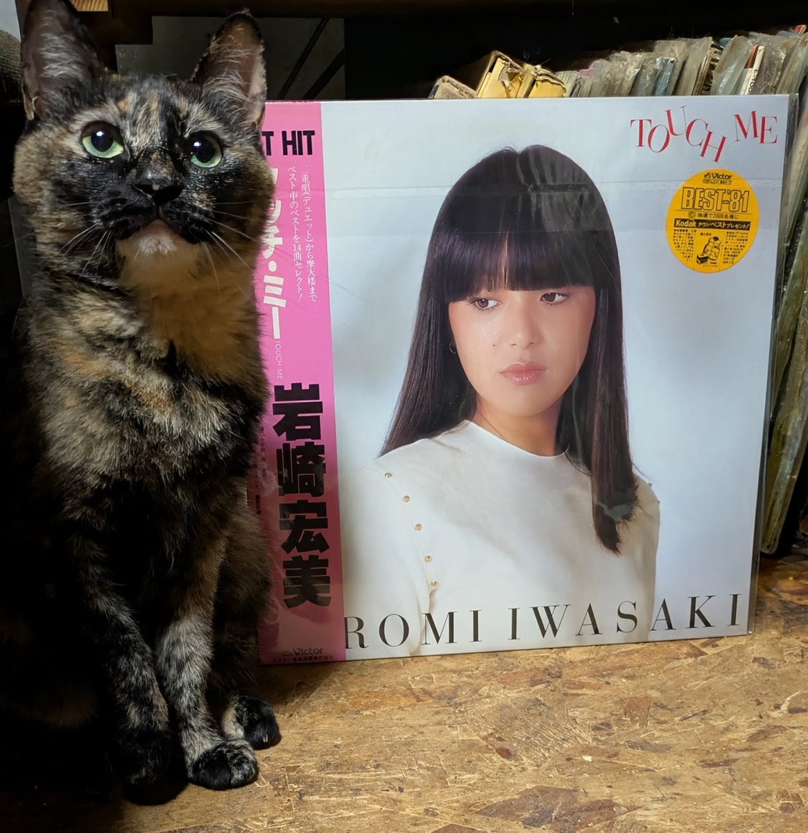 popncat tweet media