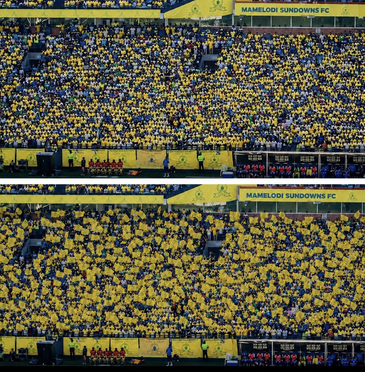 YELLOW ARMY SA⭐️ tweet media