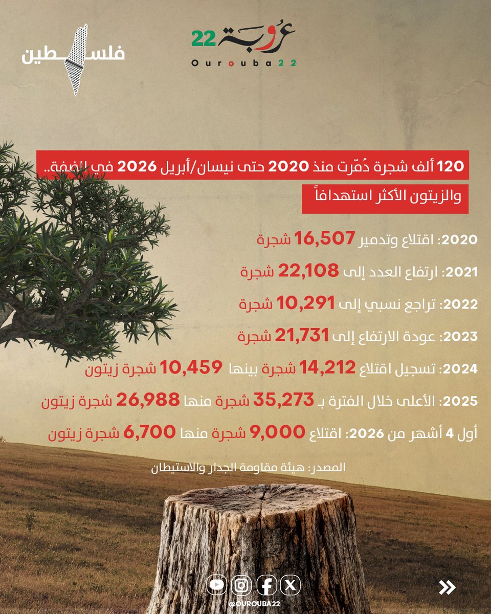 Ourouba22 عروبة٢٢ tweet media