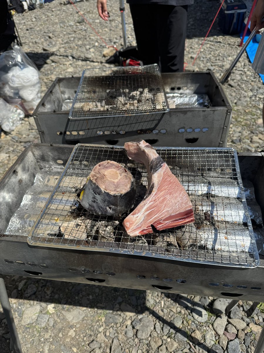 LE_yamashita99's tweet photo. BBQって最高ですよね。
変わり種の食材を探している方にはマグロのカマとテールをお勧めします！🔥 https://t.co/jGzQKmevl7