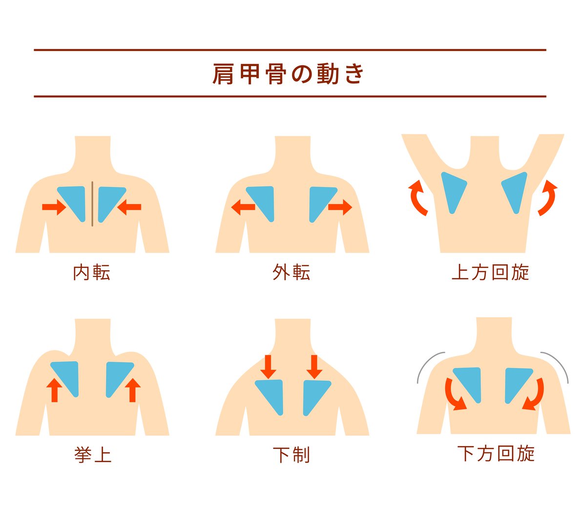 Aまてらす tweet media