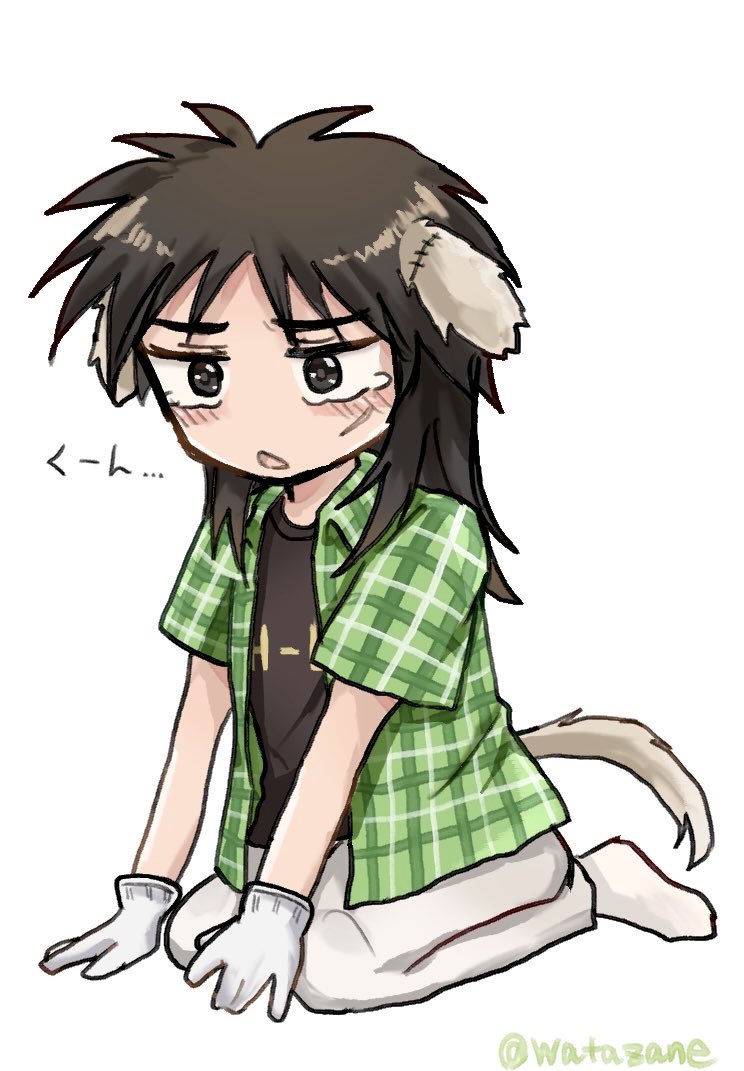 わたざね tweet media