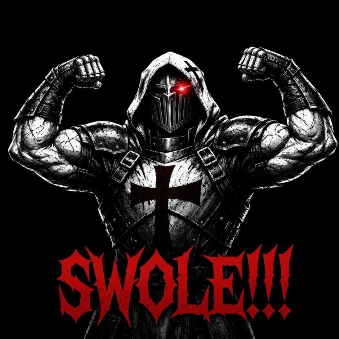 CrimsonPaladin tweet media