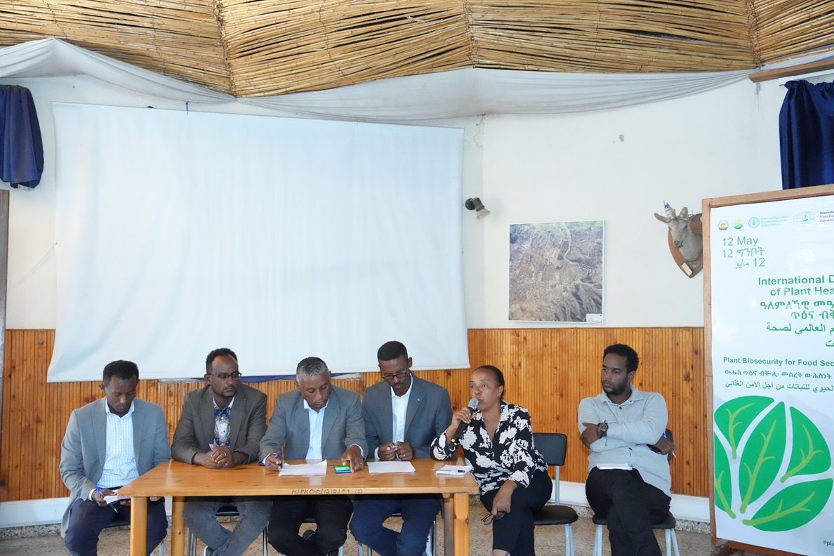 FAOEritrea's tweet photo. On #PlantHealthDay2026, #Eritrea reaffirmed that protecting #PlantHealth protects #AgrifoodSystems, livelihoods, biodiversity, and well-being. Strong #PlantBiosecurity is key to #ResilientAgriculture & sustainable #FoodSecurity for all.🌱🇪🇷
#ProtectOurPlants #OneHealth #FAO #IDPH https://t.co/im2Tyhzwdc
