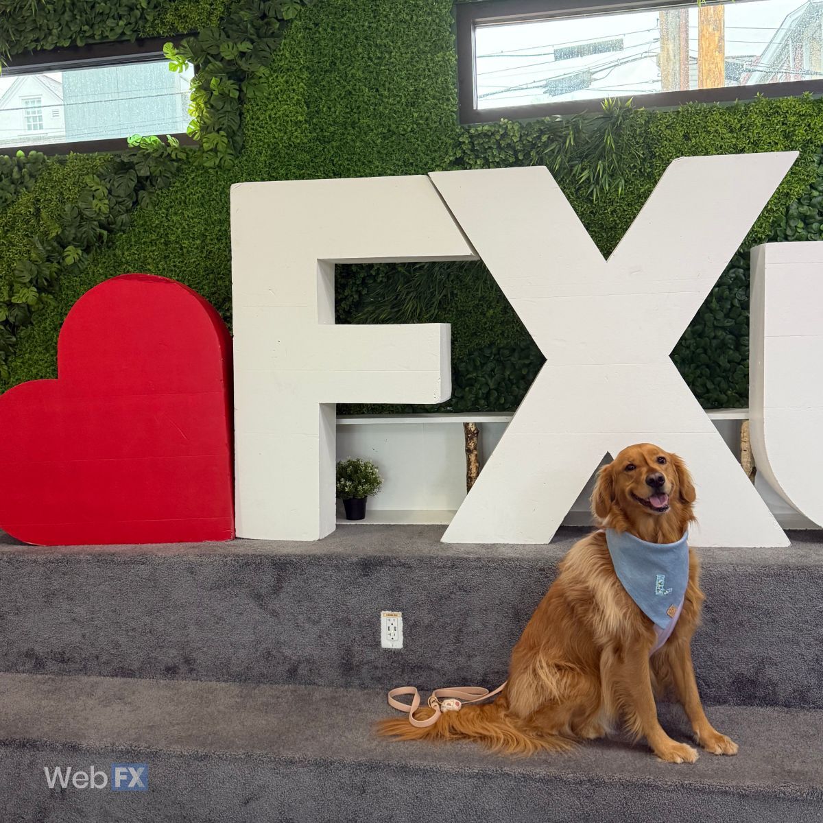 webfx's tweet photo. Not every social media post should sell something. 

Sometimes, it should feature a very good dog.

Say hello to Lilah 👋 https://t.co/Ta6ACxRiFG