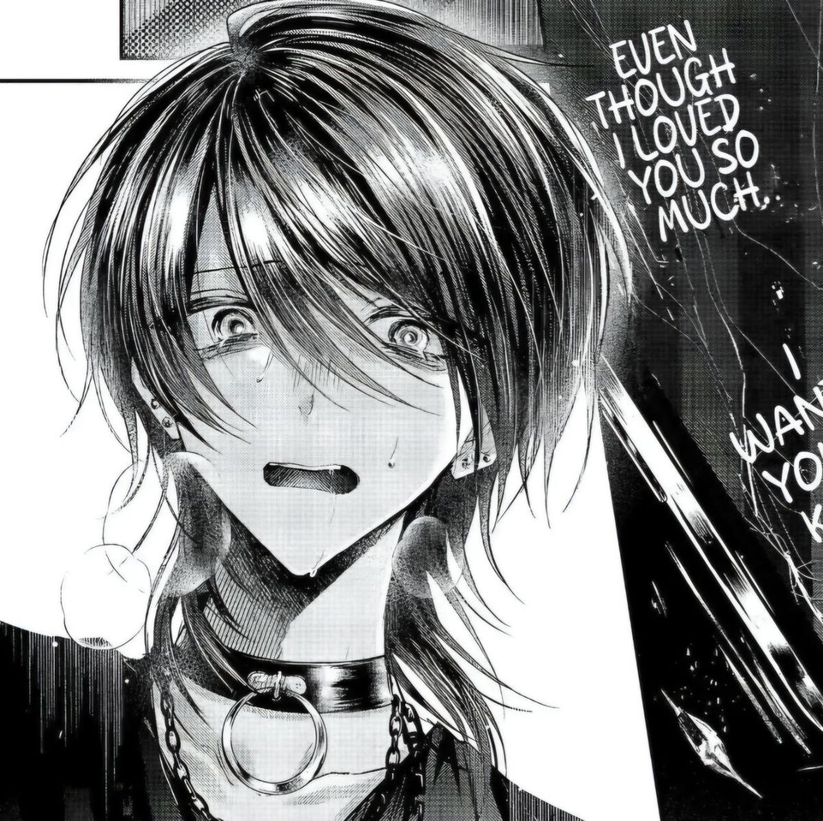 kou ( = ⩊ = ) tweet media