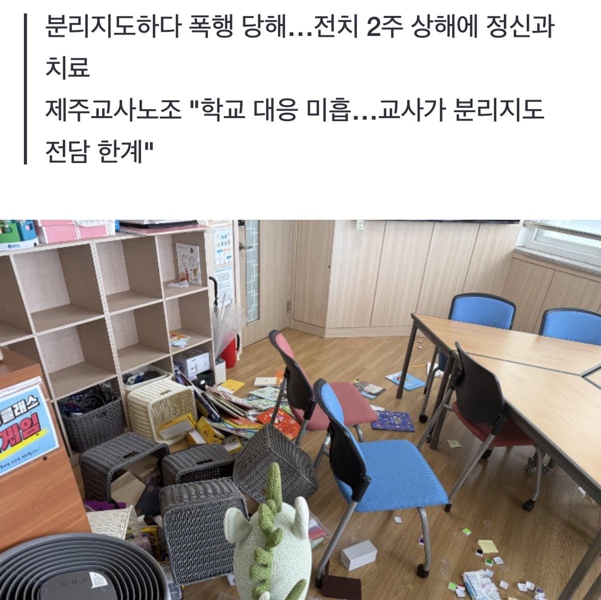 캣츠파파 tweet media