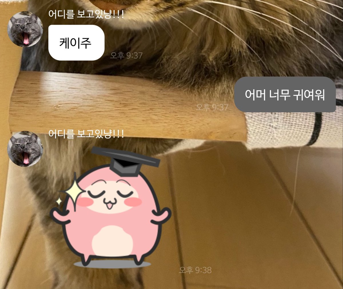 케요ᰔᩚ tweet media