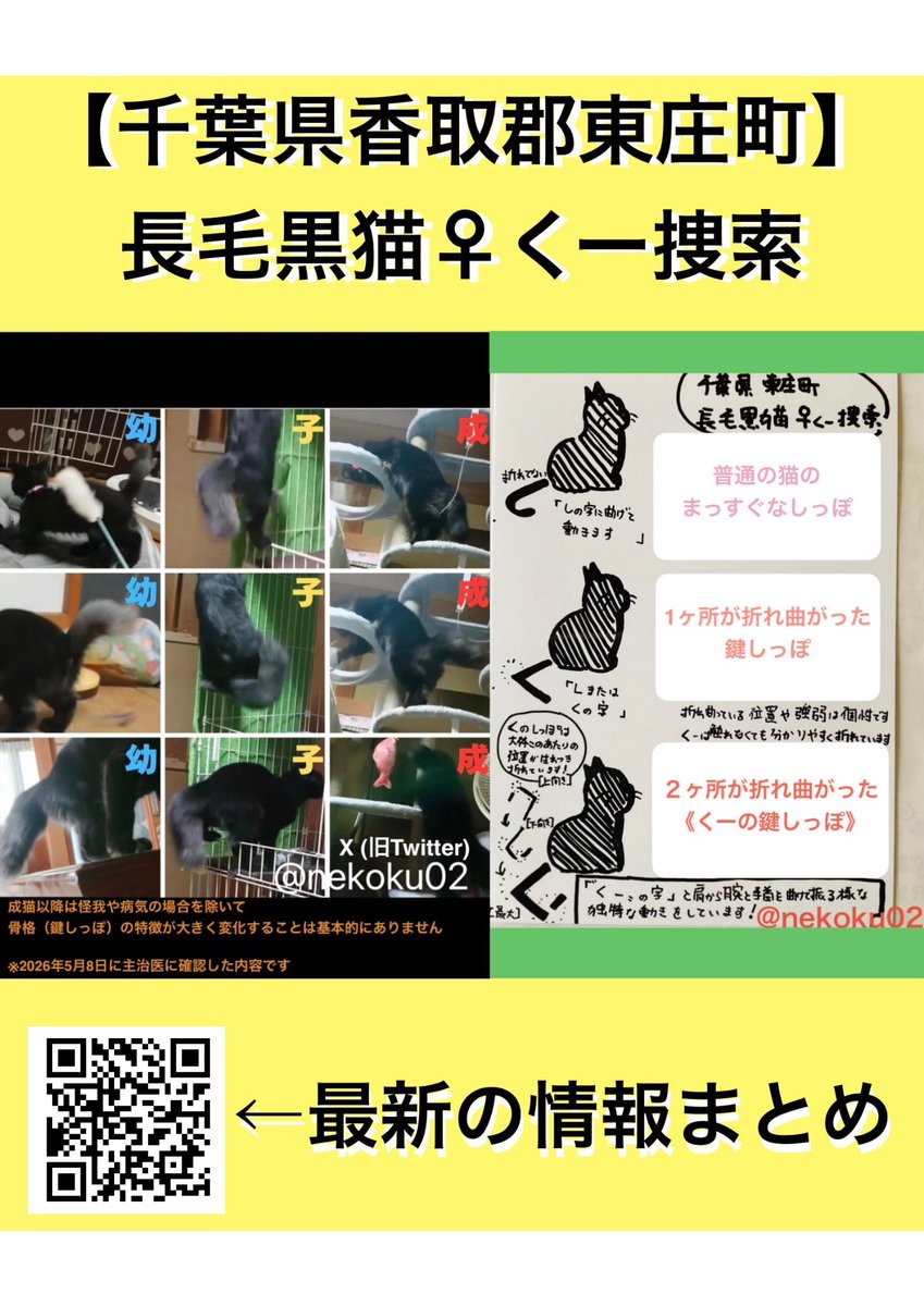 黒猫くー捜索 千葉県東庄町 (鍵尾長毛メス。香取郡・香取市・旭市・銚子市・神栖市近隣の保護情報求む） tweet media