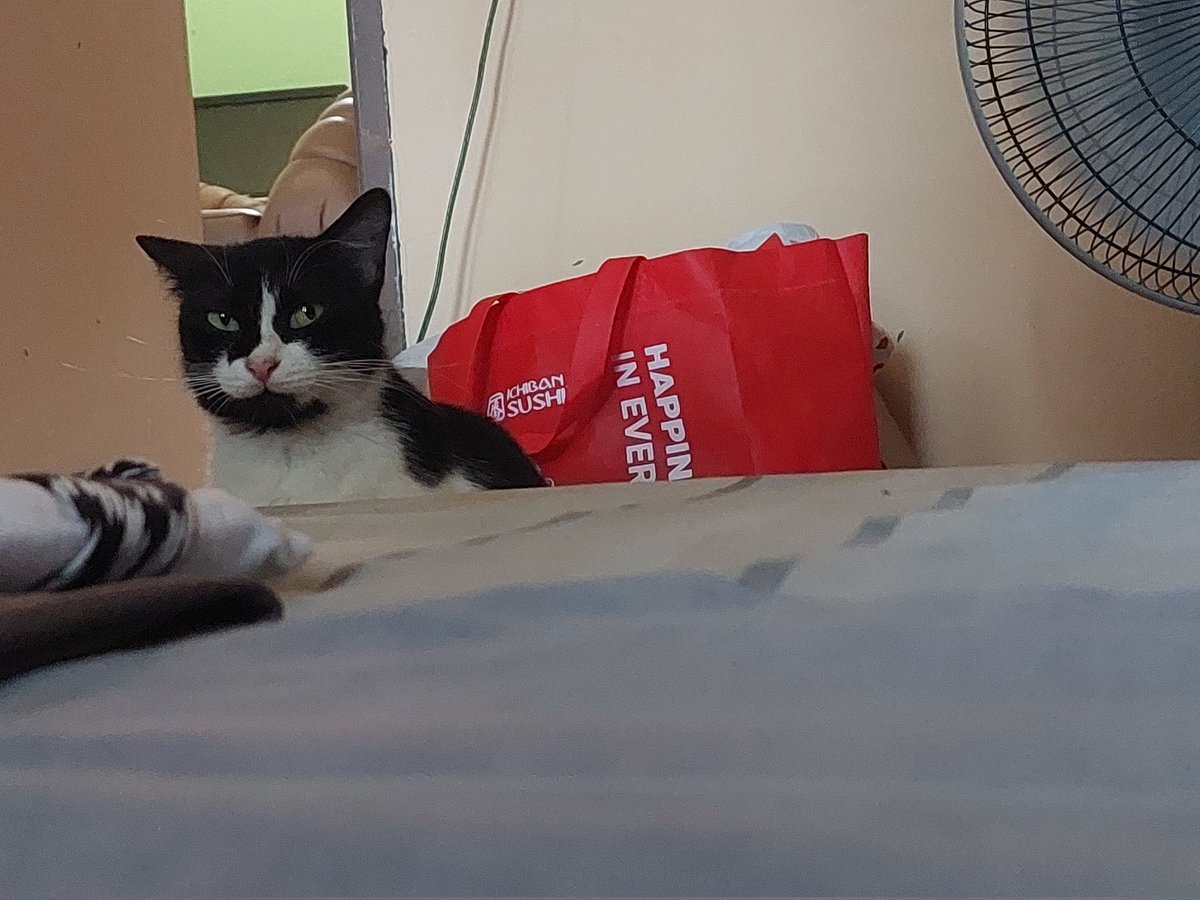 Kiki tweet media