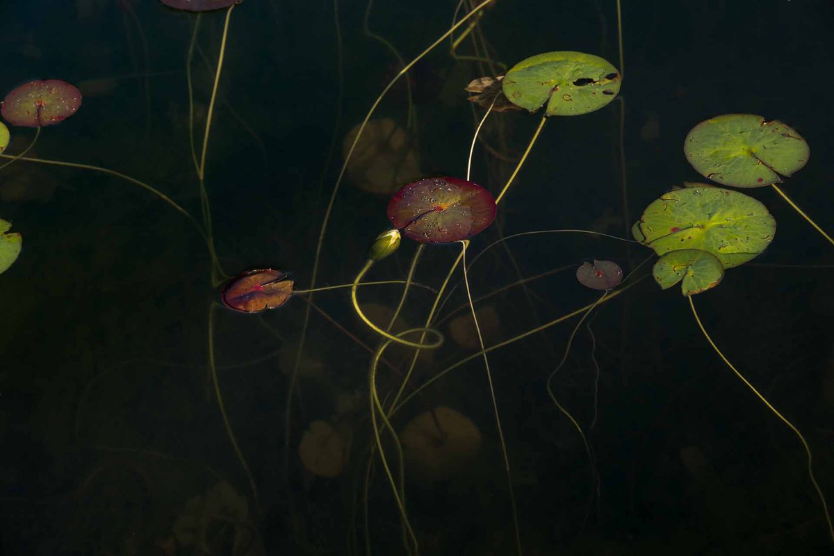 GETXOPHOTO's tweet photo. ◼Aesthetica aldizkariaren apirila/maiatza zenbakiak galdu ezin dituzun proposamenez beterik dago!

◼The April/May issue of Aesthetica Magazine is packed with unmissable features.

🔗 Deskargatu doan: https://t.co/ozYzhdbvaq 

◼︎Composition No. 8 - Jane Fulton Alt https://t.co/vHoKaXpu9v