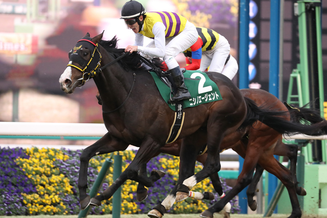 JRA-VAN公式 tweet media