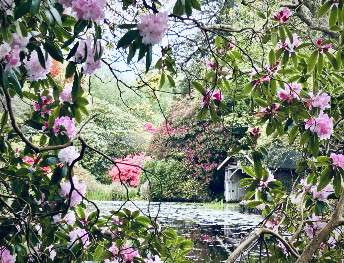 mbw54's tweet photo. Bargany Gardens, Ayrshire https://t.co/7o8gZpe6On