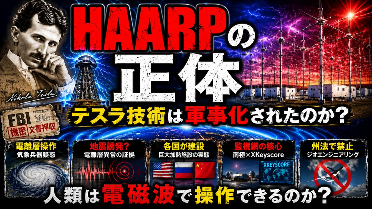 ひまちゃん🐶マルチーズ騎士団 tweet media