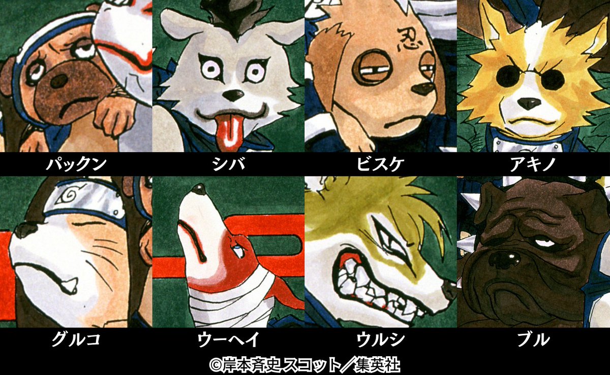 NARUTO・BORUTO【原作公式】 tweet media