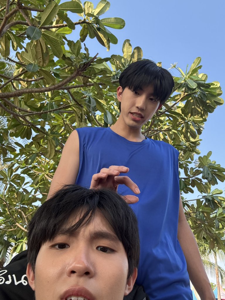 พอลโล tweet media