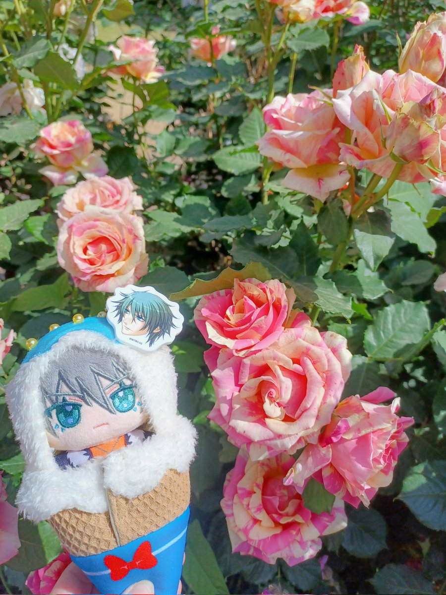 かい子 tweet media