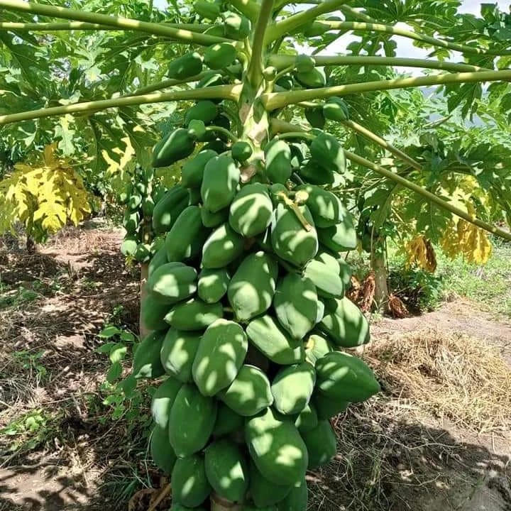 Mynzagric254 tweet media