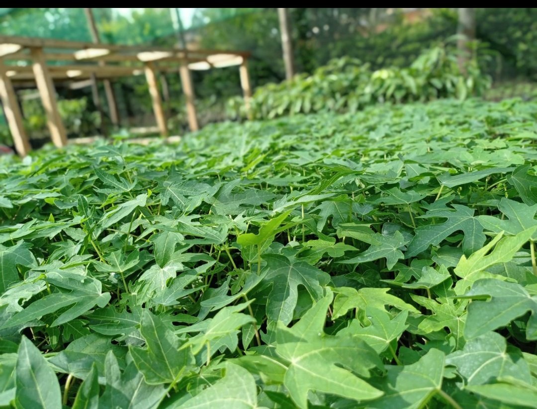 Mynzagric254 tweet media