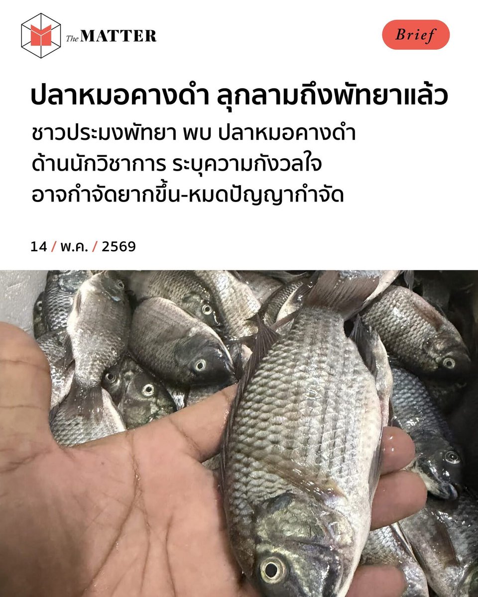The MATTER tweet media